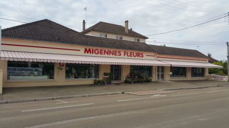 MIGENNES FLEURS (Fleuristes) - Shopping Migennois